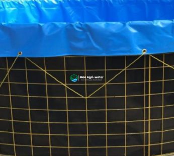 Tropicalized Mesh Tanks